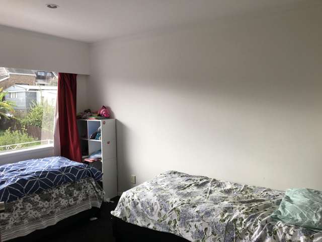 89 Cormack St Mount Roskill_3