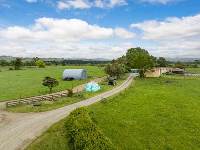 250 No 8 Road Morrinsville_2