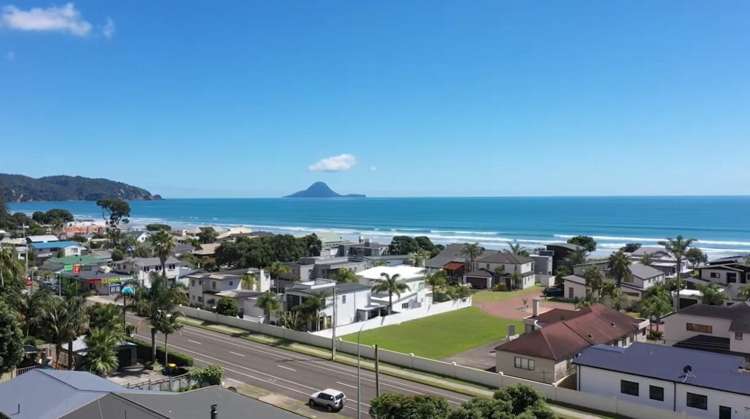 216 Pohutukawa Avenue 1117_1