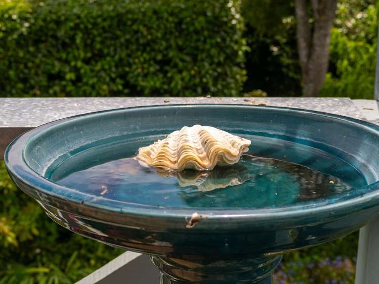 77 Rue Lavaud Akaroa_26