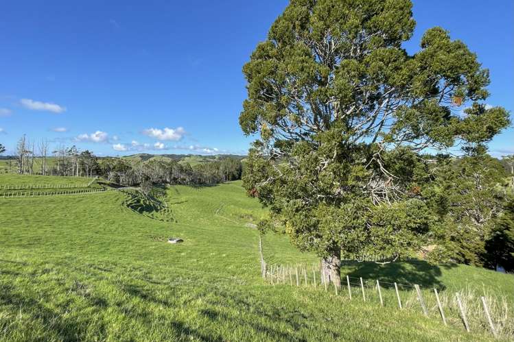 140 Te Arai Point Road Te Arai_16