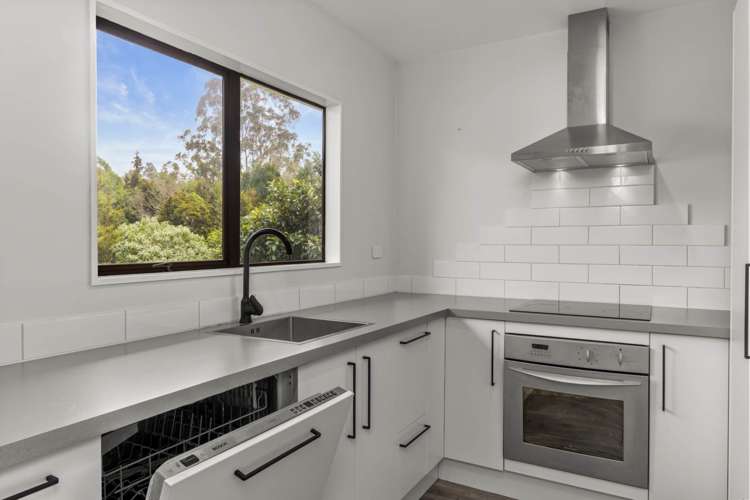 7 Amokura Drive Kerikeri_5