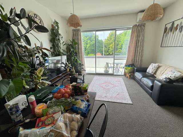 1/344 Ferry Road Waltham_1