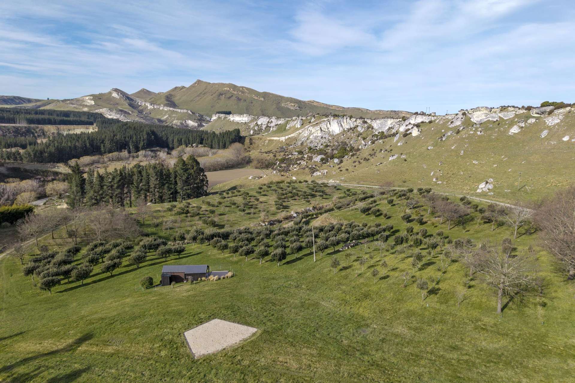 101 Laidmore Road Broomfield_0