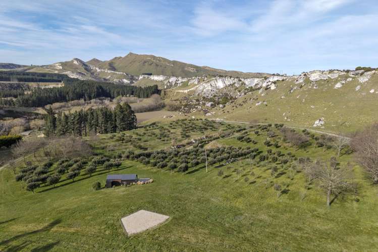 101 Laidmore Road Broomfield_0