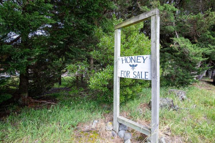 657 Domett Road Domett_43