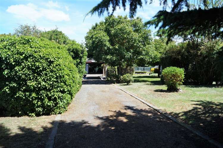 20 Highfield Street Culverden_23