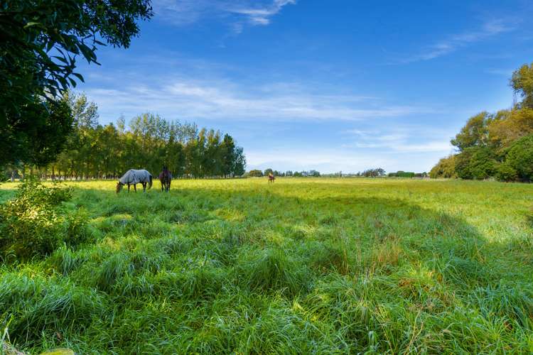 22 Raven Drive Springston_16