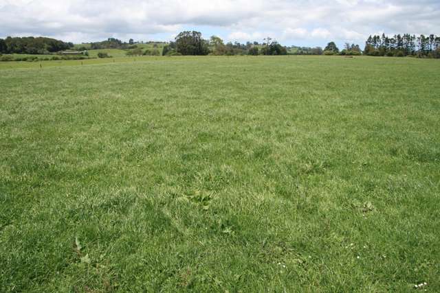 LEPPERTON DAIRY FARM WITH MILKING OPTIONS