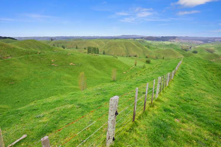 166 Airstrip Road Pikowai_26