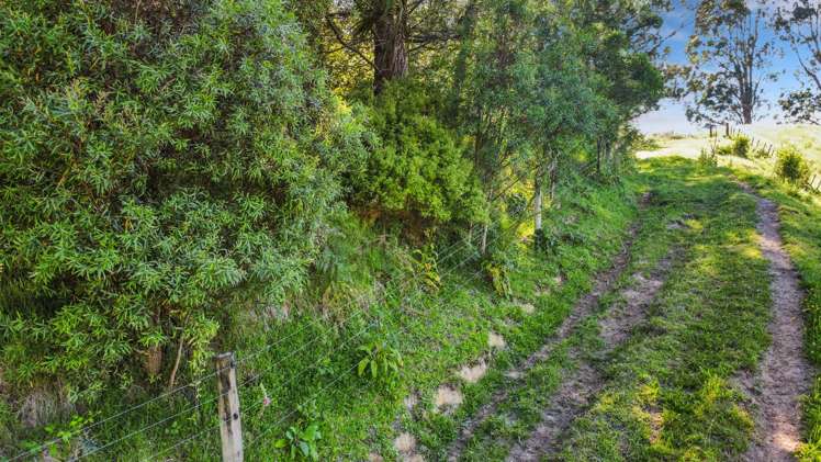 109 McIvor Road Rotoma_13