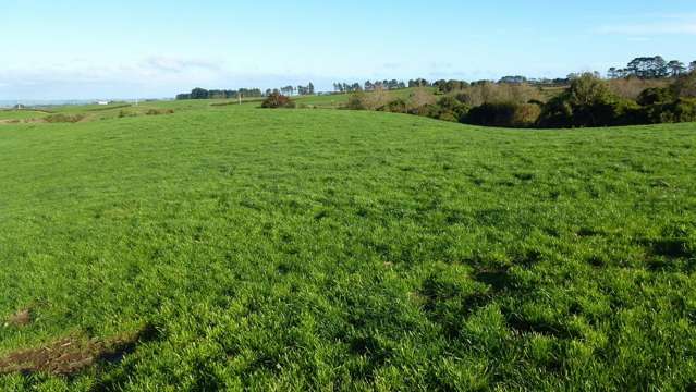 Rural 1 acre sections