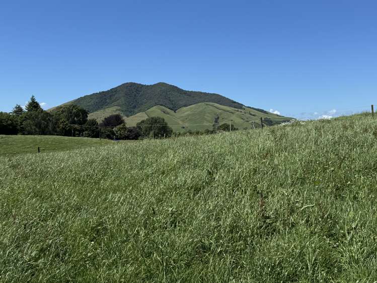 Lot 4 Pokuru Road Rd 3 Te Awamutu_5