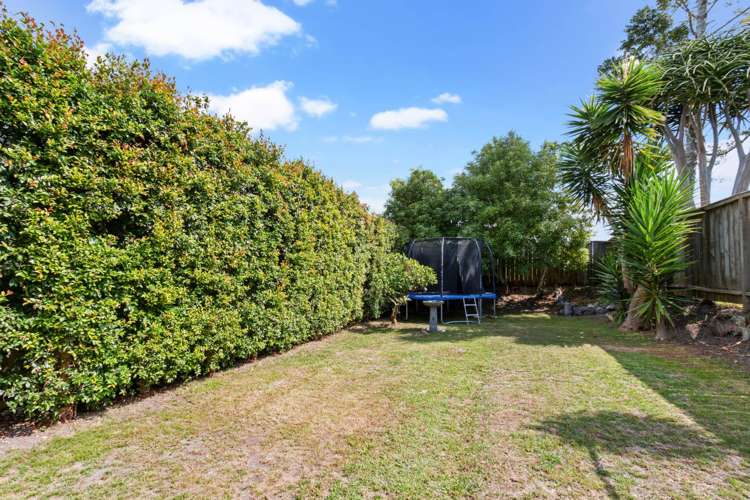 115 John Street Ponsonby_15