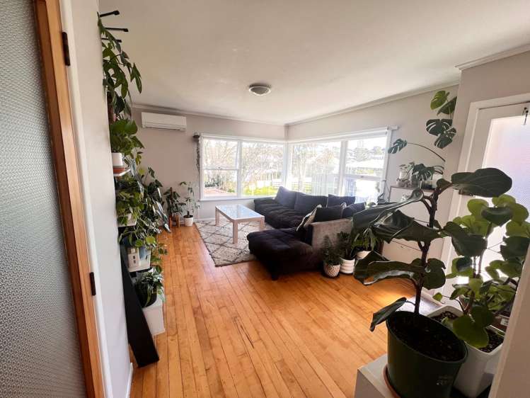 3/7 Sudan Avenue Milford_3