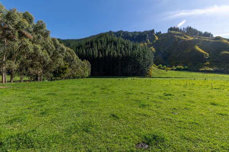 208 Mount Riley Road Okaramio_5