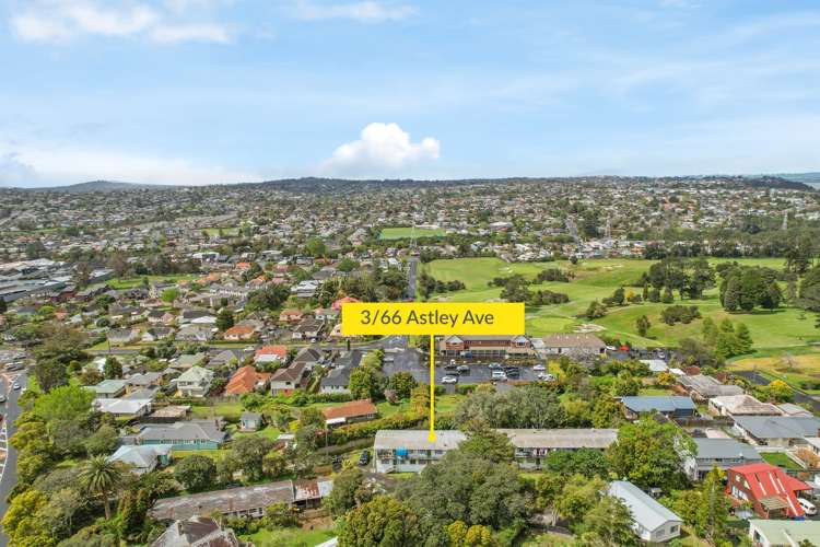 3/66 Astley Avenue New Lynn_9