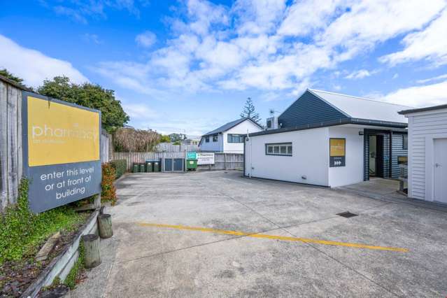 504 Dominion Road Mt Eden_4