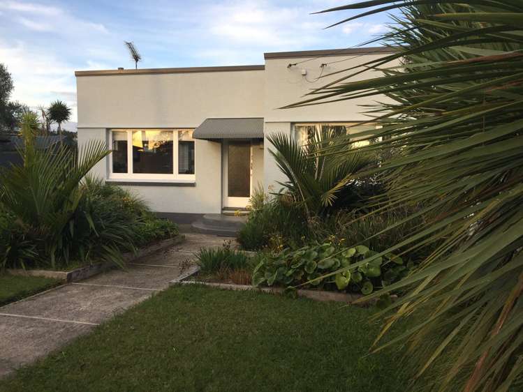 34 Arran Street Avondale_12