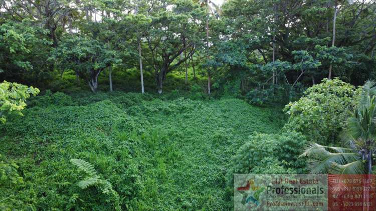 Address withheld Taveuni_19