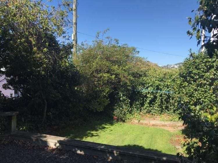 3 Mckenzie Terrace Te Aro_1