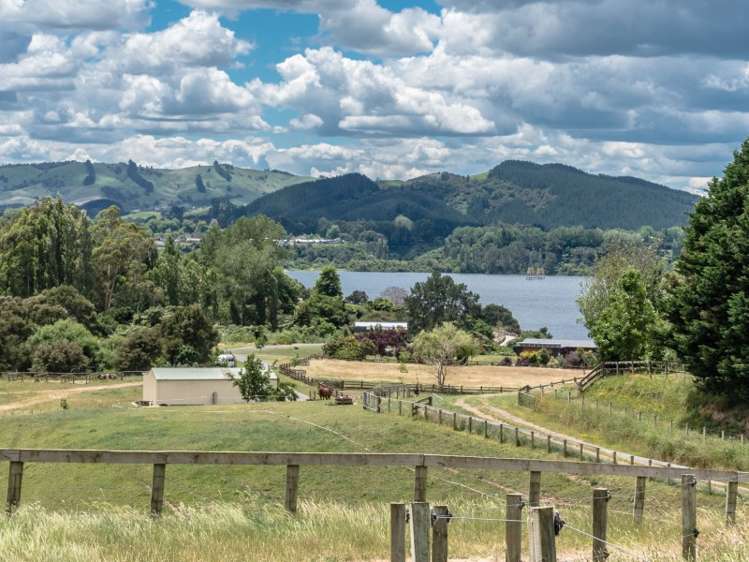 648b Maungatautari Road Cambridge_13