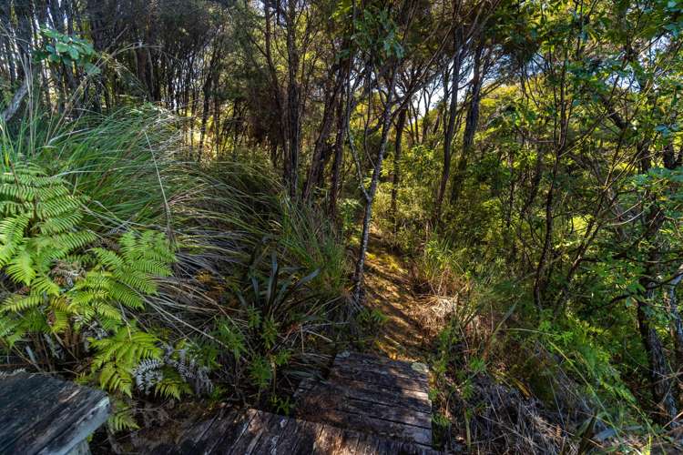 180 Tokongawa Drive Kaiteriteri_11