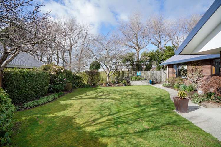 181 Ward Street Hargest_22