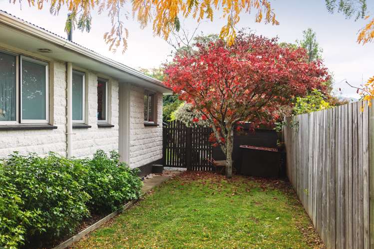 52a Inkerman Street Renwick_14