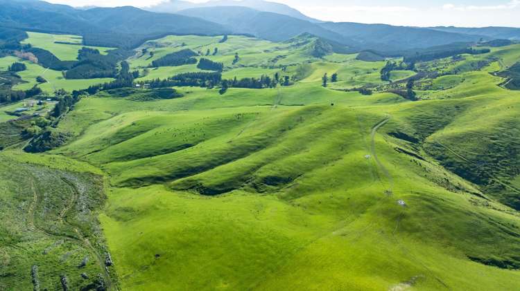 360 Quarry Road Loburn_1