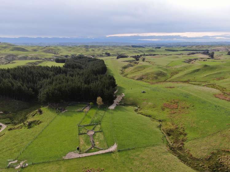 304 Middleton Road Waipukurau_13