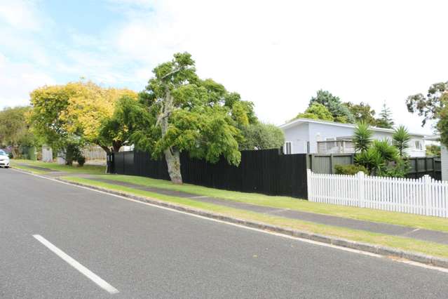 168 Halsey Drive Lynfield_3