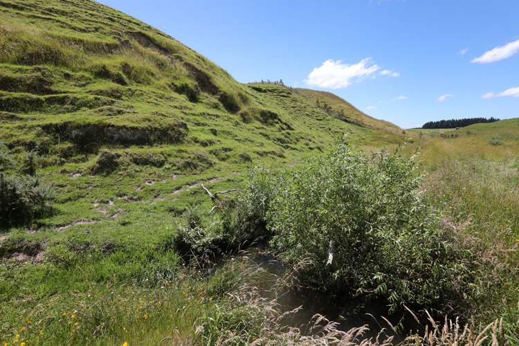 50 Highland View Drive Tokomaru_9