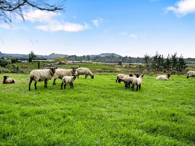 69 Pukakura Road Katikati_2