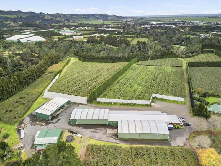 288 No 3 Road Te Puke_9