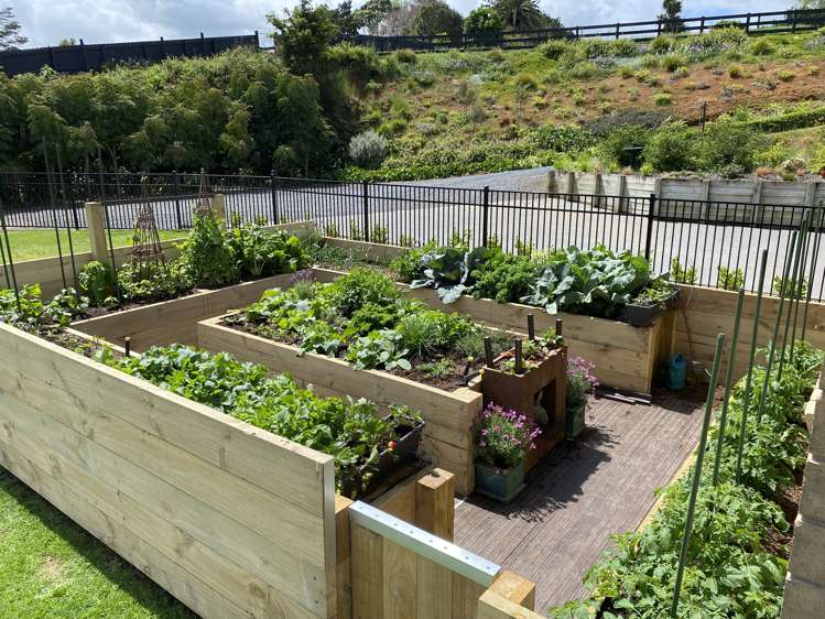 1040a Paerata Road Paerata_20