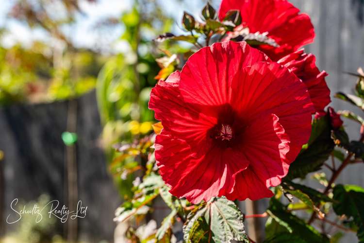 4 Hebe Lane Maungaturoto_27