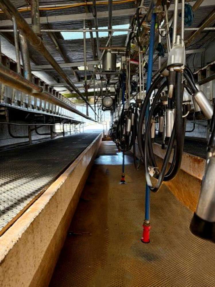 192-306 Johnston Road Kowhitirangi_8