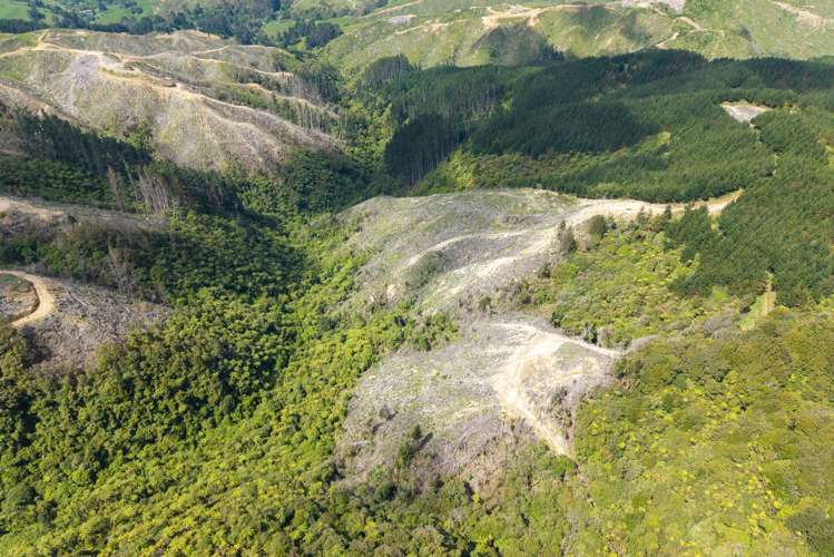 170 Mangaone North Road Te Horo_19