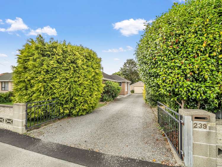 239 Burwood Road Burwood_23
