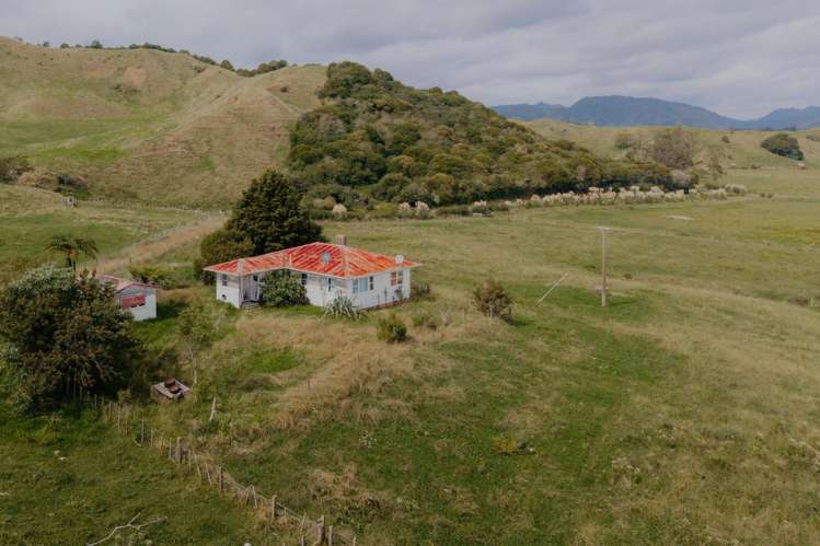 137 Matchitt Road Opotiki Surrounds_11