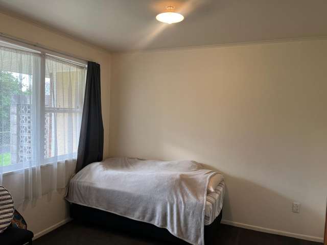 2/190 Mount Wellington Highway Auckland_3