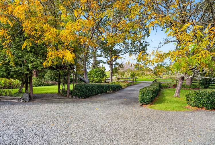 95 Marshall Road Kaiwaka_12
