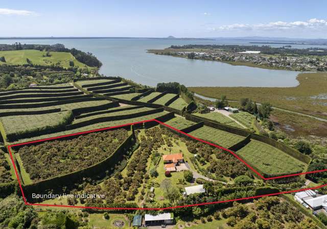 11b Stokes Road Katikati_3