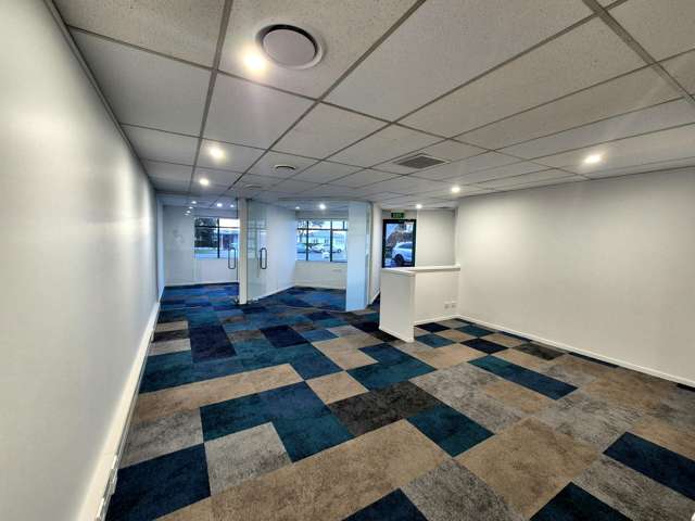 2/3 Delta Avenue New Lynn_2