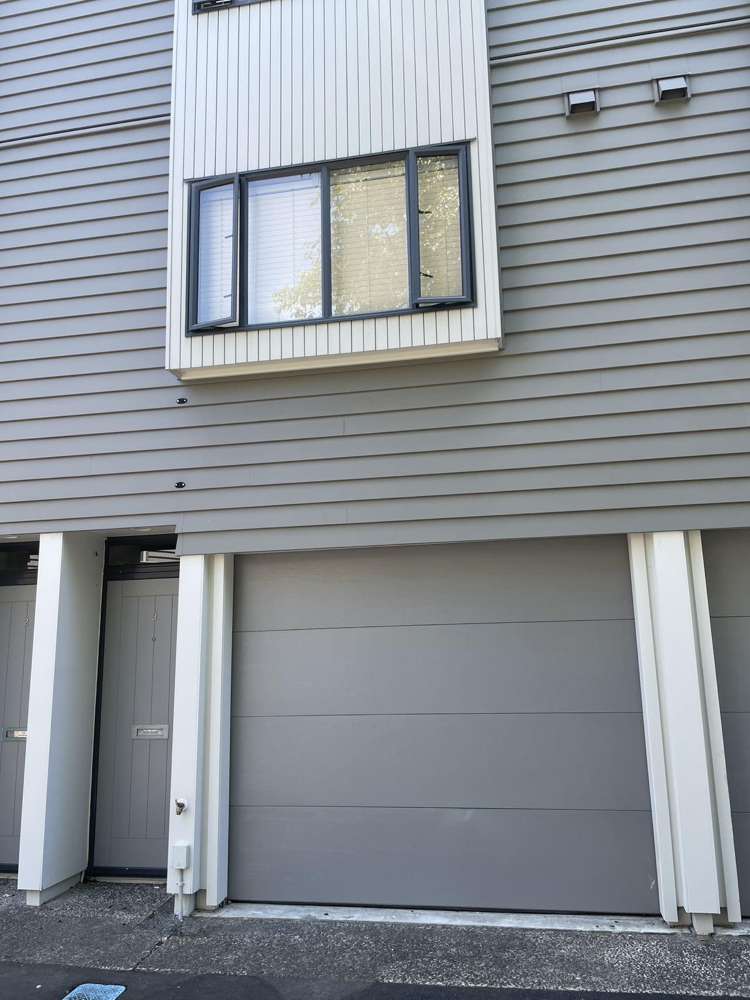 3 Dovedale Place Parnell_19