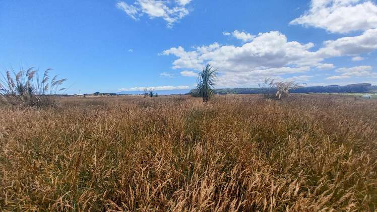 858 Papatotara Road Papatotara_13