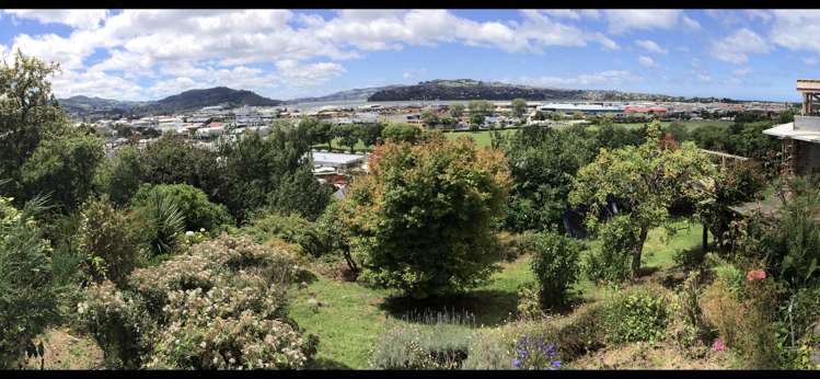 23 Jones Street Dunedin Central_0