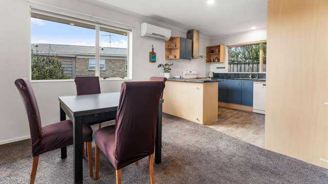11B Albert Street Pukekohe_4