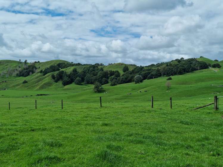 1906 Pukehuia Road Arapohue_19